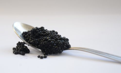 Lire la suite à propos de l’article Caviar & Santé